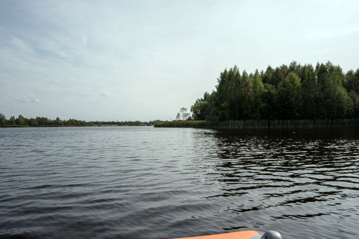 Купить Jaecoo J8 (Джейку Джи 8) в Кирове